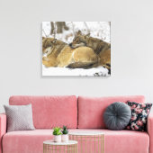 Wolven in de Bawarian Wood Canvas Afdruk (Insitu (Woonkamer))