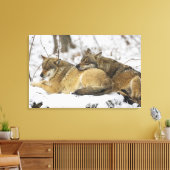 Wolven in de Bawarian Wood Canvas Afdruk (Insitu (Woonkamer))