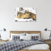 Wolven in de Bawarian Wood Canvas Afdruk (Insitu (Slaapkamer))
