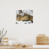 Wolven in de Bawarian Wood Poster (Keuken)