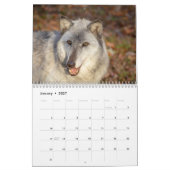 Wolven in de Herfst 2026 Kalender (Jan 2027)