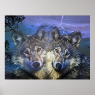 Wolven in de nacht poster