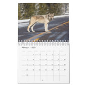 Wolven in de Natuur Kalender (Feb 2027)