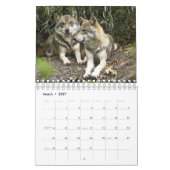 Wolven in de Natuur Kalender (Mar 2027)