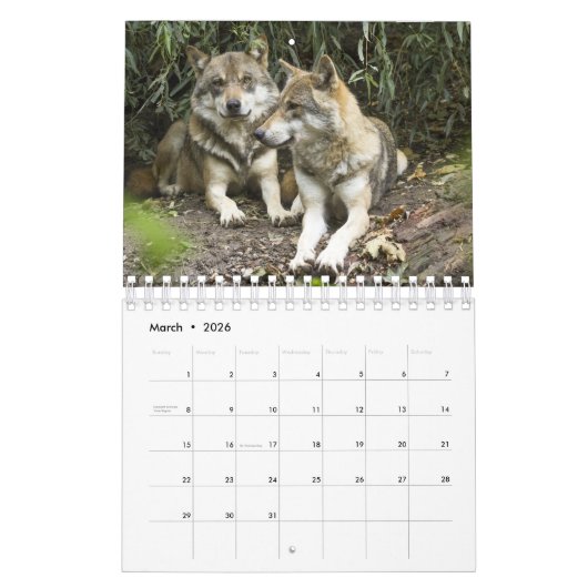 Wolven in de Natuur Kalender (Mar 2026)