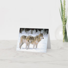 WOLVEN IN DE SNEEUW KERSTKAART FEESTDAGEN KAART