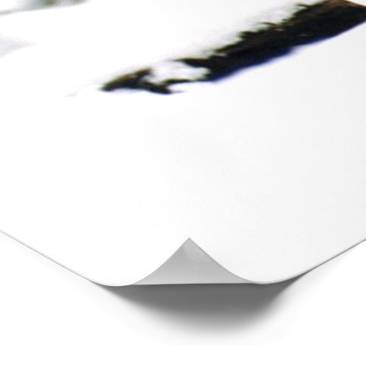 Wolven in de sneeuw poster (Hoek)