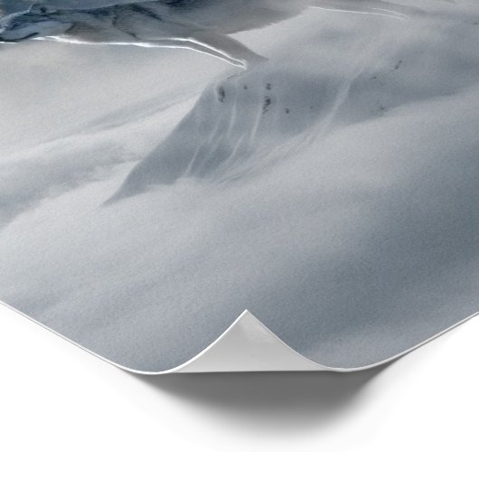 Wolven in een winterlandschap poster (Hoek)