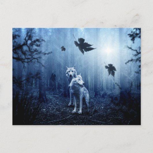 Wolven in het bossen briefkaart (Voorkant)