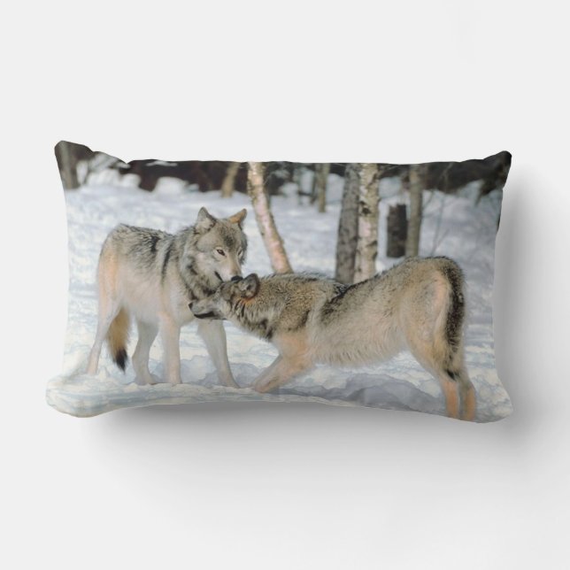 Wolven in sneeuw    LumbarPillow Kussen (Voorkant)