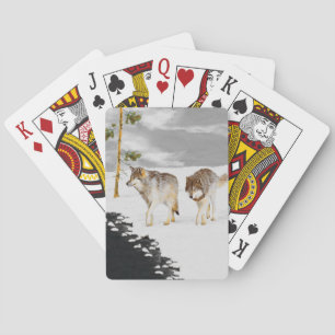 Wolven in sneeuwschilderijen - Oorspronkelijke Wil Pokerkaarten