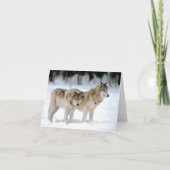 WOLVEN IN SNEEUWVAKANTIE KAART (Voorkant)