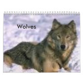 Wolven Kalender (Hoes)