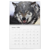 Wolven Kalender (Jan 2026)
