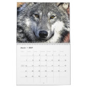 Wolven Kalender (Mar 2027)