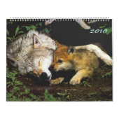 Wolven met pups 2010 Agenda Kalender (Hoes)