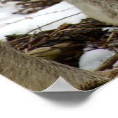 Wolven op de Prowl Poster (Hoek)