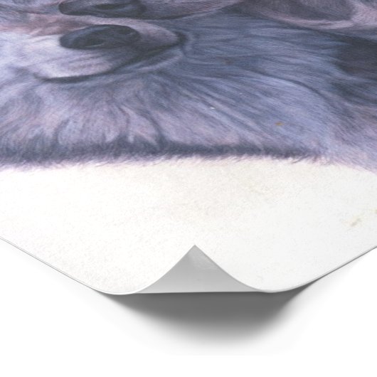 wolven poster (Hoek)