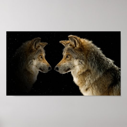 Wolven Poster (Voorkant)