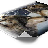 Wolven Poster (Hoek)