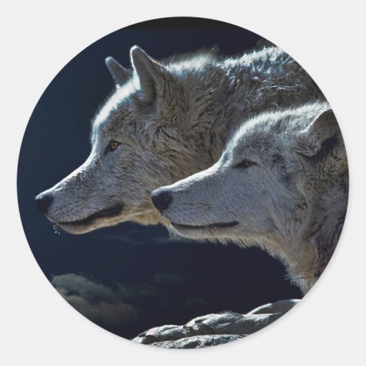 Wolven Ronde Sticker (Voorkant)