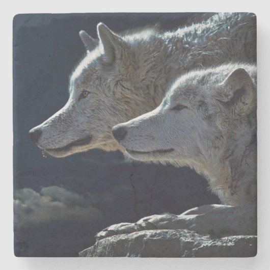 Wolven Stenen Onderzetter (Voorkant)