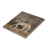 WOLVEN TEGELTJE (Zijkant)