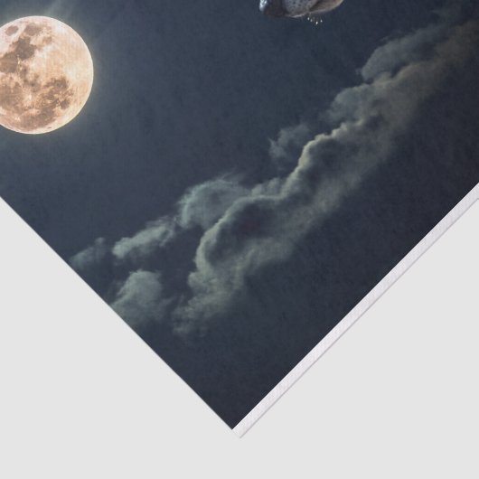 Wolven Tissuepapier (Detail)