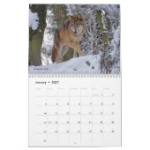 Wolven van de Wereld 15 Mo. Kalender 2024-25 (Jan 2027)