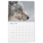 Wolven van de Wereld 15 Mo. Kalender 2024-25 (Feb 2027)