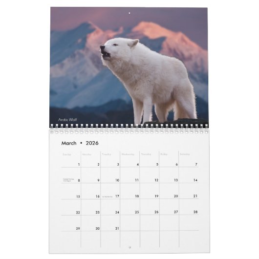 Wolven van de Wereld 15 Mo. Kalender 2025-26 (Mar 2026)