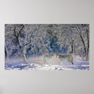 Wolven van geelsteen poster