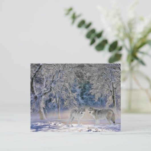 Wolven van het Briefkaart van Yellowstone (Staand voorkant)