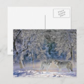 Wolven van het Briefkaart van Yellowstone (Voorkant / Achterkant)