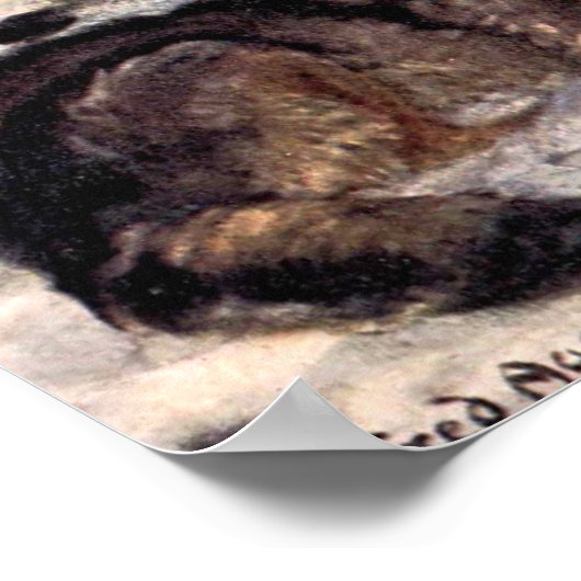 Wolven van Winifred Austen, wilde dieren Poster (Hoek)