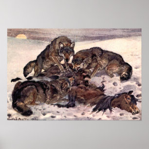Wolven van Winifred Austen,  wilde dieren Poster