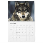 Wolven - Wilde dieren Kalender (Mar 2026)
