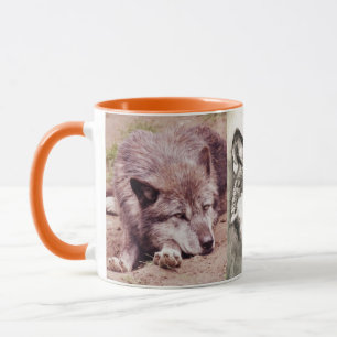 Wolven Wolf Dieren Wild Natuur Bos Mok