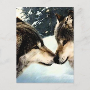 Wolven Wolf Sneeuw Winter Sneeuw Koppel Liefde Briefkaart