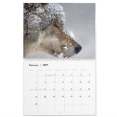 Wolven Wolf thema Muurkalender 2025 Kalender (Feb 2027)