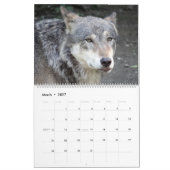 Wolven Wolf Thema Wandkalender 2027 Kalender (Mar 2027)
