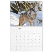Wolven Wolf Thema Wandkalender 2027 Kalender (Jan 2027)