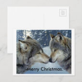 wolven wrijven over neuzen vrolijke kerstkaarten. feestdagenkaart (Voorkant / Achterkant)