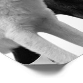 Wolven Zwart Wit Blokhut Rustiek Fotoposter Poster (Hoek)