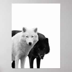 Wolven Zwart Wit  Houten Blok Rustieke Foto Poster