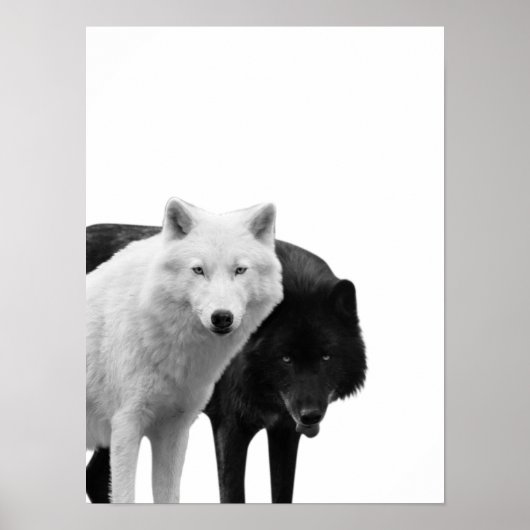 Wolven Zwart Wit Houten Blok Rustieke Foto Poster (Voorkant)