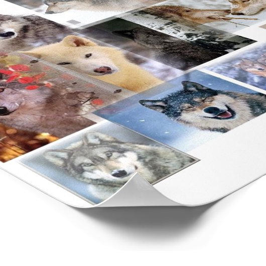 wolvenmontage poster (Hoek)