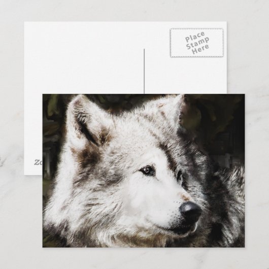 wolvenonderzoek briefkaart (Voorkant / Achterkant)