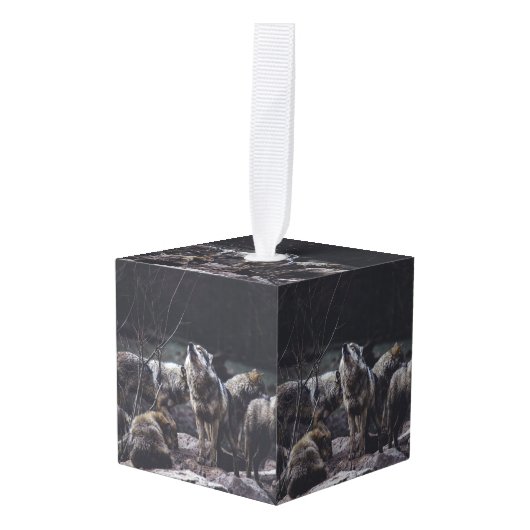 Wolvenroedel Decoratie (Voorkant hoekig)