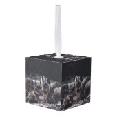 Wolvenroedel Decoratie (Achter hoekig)